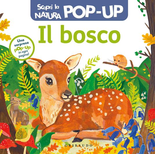 LaFeltrinelli Il bosco. Scopri la natura pop up. Ediz. a colori