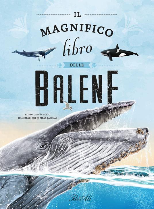 LaFeltrinelli Il magnifico libro delle balene. Ediz. a colori