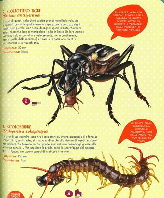 LaFeltrinelli Insetti Del Mondo E Altri Invertebrati. Ediz. A Colori