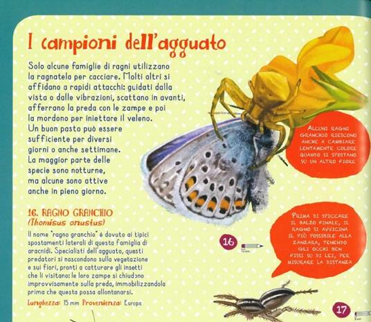 LaFeltrinelli Insetti Del Mondo E Altri Invertebrati. Ediz. A Colori