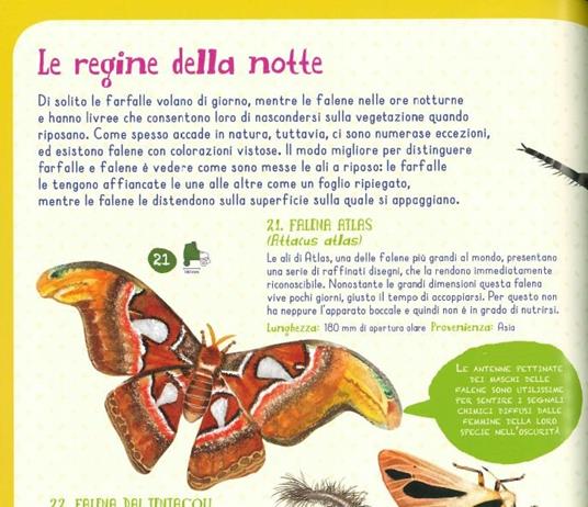 LaFeltrinelli Insetti Del Mondo E Altri Invertebrati. Ediz. A Colori