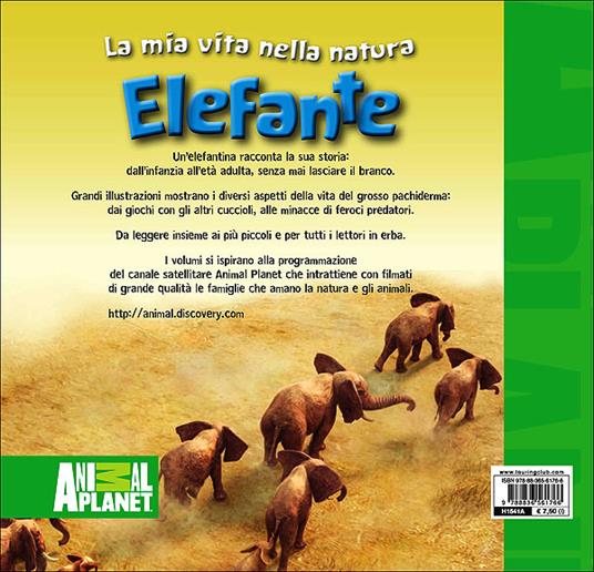 LaFeltrinelli Elefante
