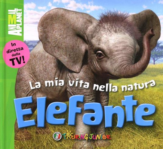 LaFeltrinelli Elefante
