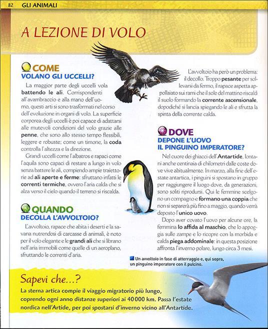 LaFeltrinelli Il Grande Libro Del Come Dove Quando?