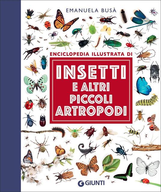 LaFeltrinelli Insetti e altri piccoli artropodi