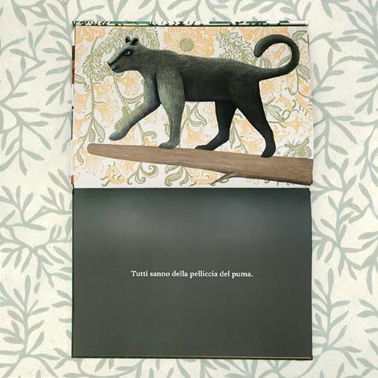 LaFeltrinelli Nessuno Sa. Ediz. A Colori