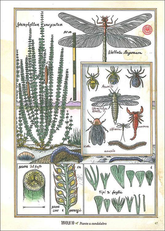 LaFeltrinelli Le Isole Del Tempo. Avventure Nel Mondo Verde Preistorico