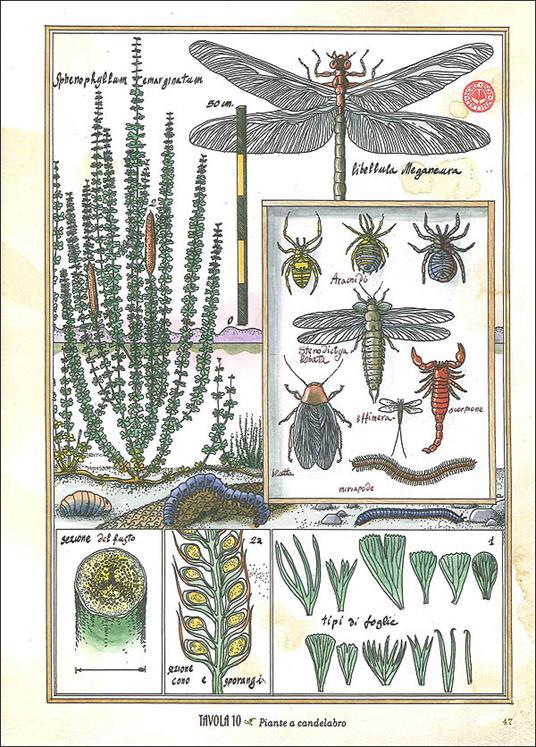 LaFeltrinelli Le Isole Del Tempo. Avventure Nel Mondo Verde Preistorico