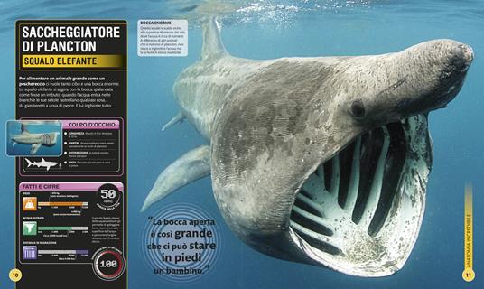 LaFeltrinelli Supersquali E Altre Creature Degli Abissi