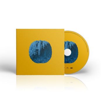 Mondadoristore L'albero delle noci