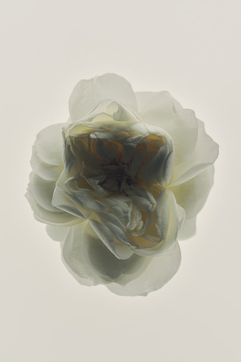 H&M Eau De Toilette - Creative Visionary - Beauty All