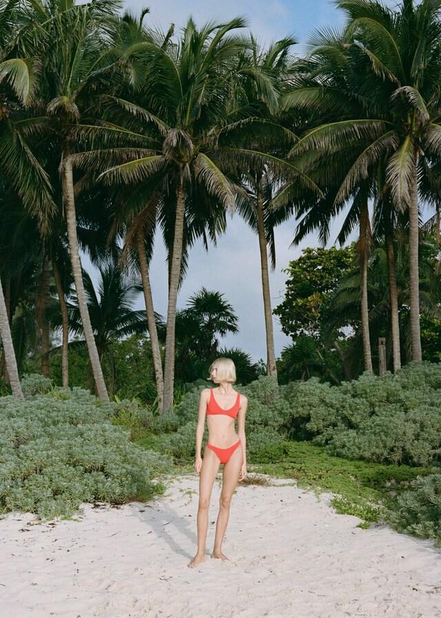 Mango Top Bikini Texture