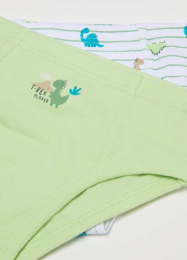 Ovs Bipack Slip In Cotone Con Stampa Dinosauri