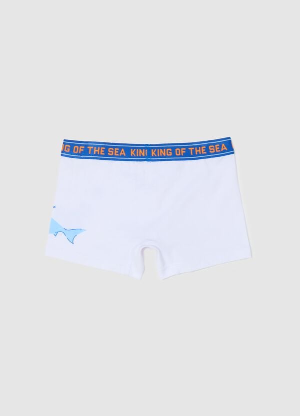 Ovs Boxer In Cotone Stretch Con Stampa Squalo