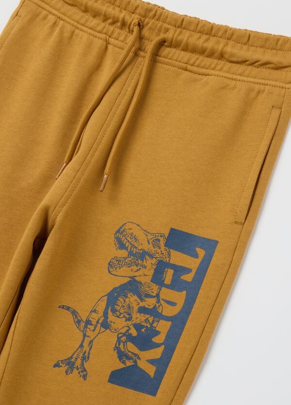 Ovs Joggers In Cotone Con Coulisse E Stampa