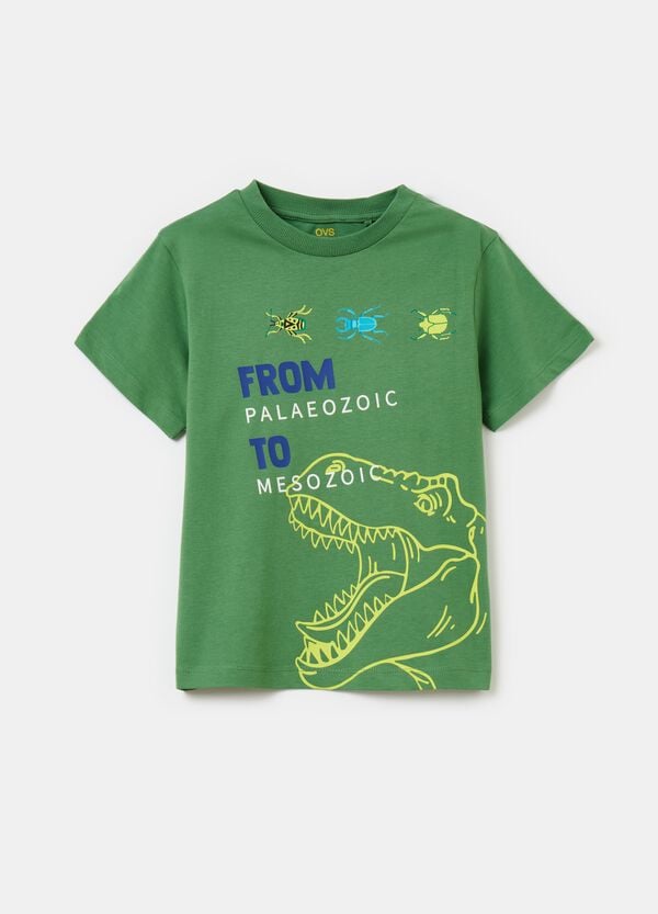 Ovs T-shirt in cotone bio con stampa