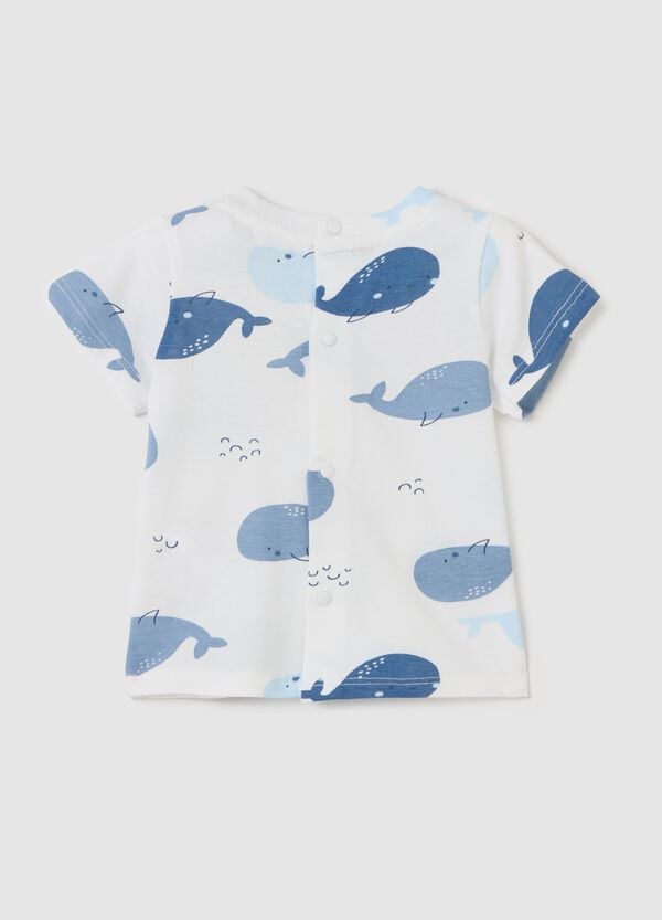 Ovs T-shirt In Cotone Con Stampa Cetacei