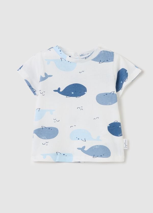 Ovs T-shirt in cotone con stampa cetacei