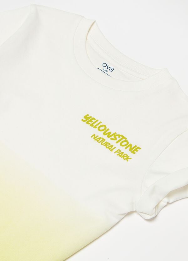 Ovs T-shirt In Cotone Degrade Con Stampa