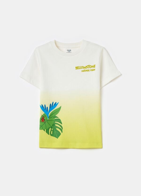 Ovs T-shirt in cotone degrade con stampa