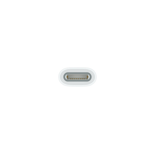 Trony APPLE - Adattatore USB-C A Matita Apple