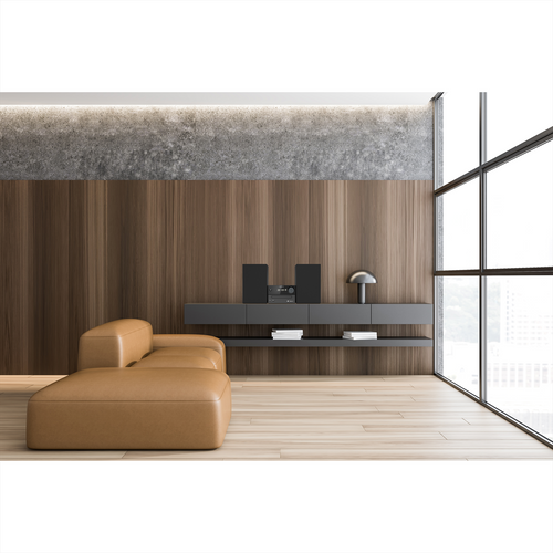 Trony KENWOOD - M-420DAB