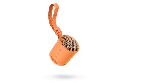 Trony SONY - SRSXB100D.CE7