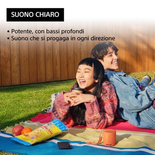 Trony SONY - SRSXB100D.CE7