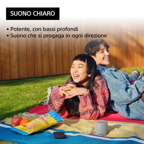 Trony SONY - SRSXB100H.CE7