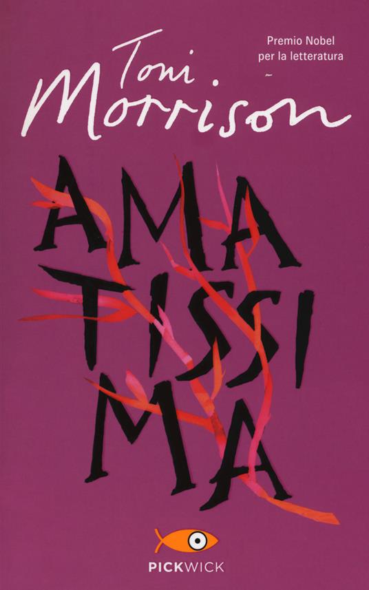 Ibs Amatissima