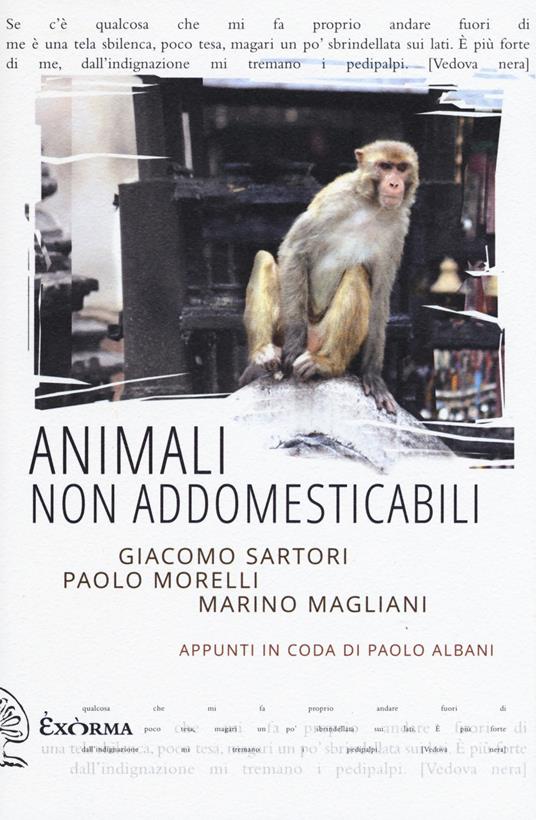 Ibs Animali non addomesticabili