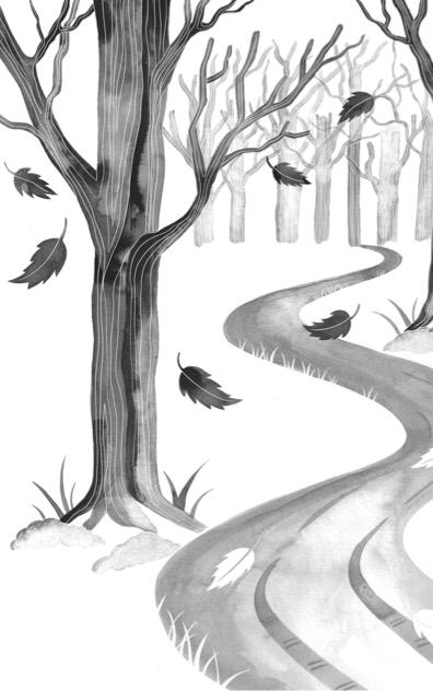 Ibs Il Bosco D'inverno