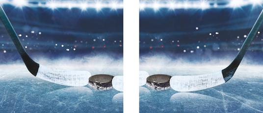 Ibs Il Contratto. The Deal