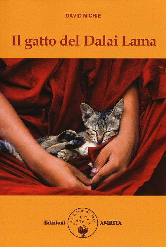 Ibs Il gatto del Dalai Lama