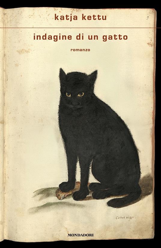 Ibs Indagine di un gatto