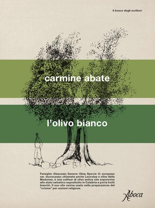Ibs L'olivo bianco