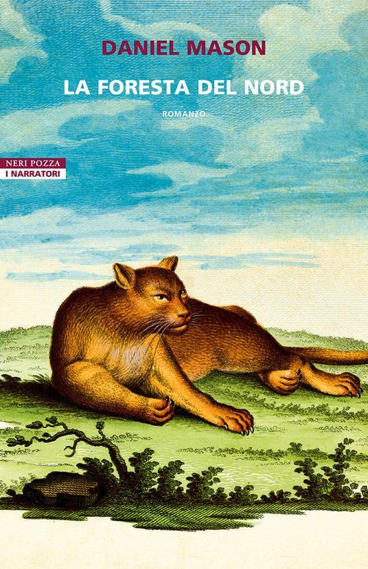 Ibs La foresta del Nord