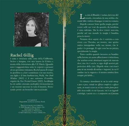 Ibs One Dark Window. Ediz. Italiana