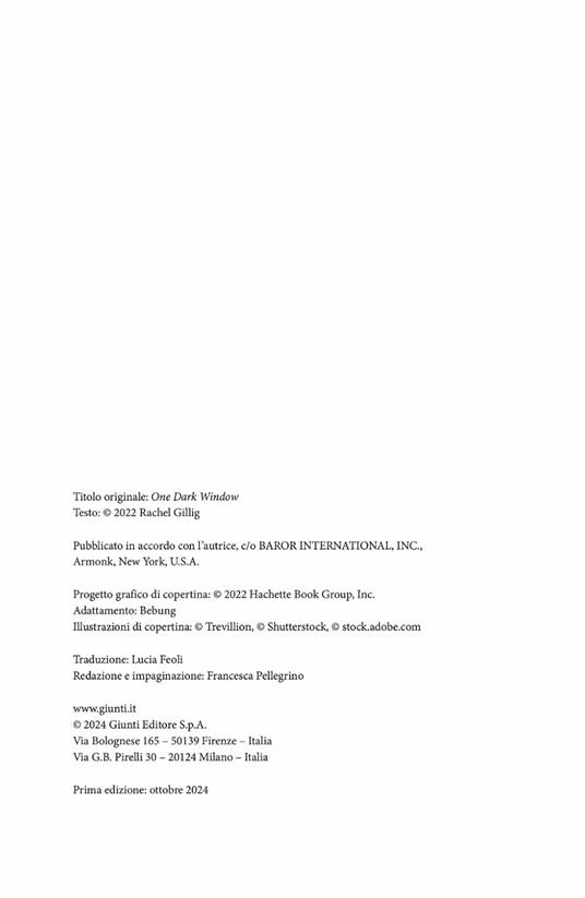 Ibs One Dark Window. Ediz. Italiana