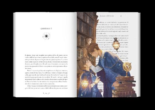 Ibs Stelle E Ottone. The Hidden Society. Vol. 1