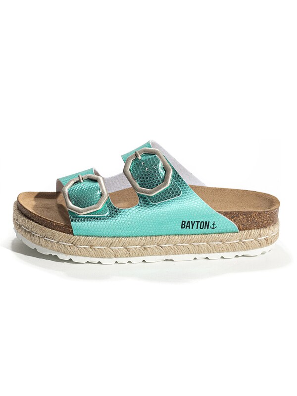 Bayton Zoccoletto 'Alcee' in Menta