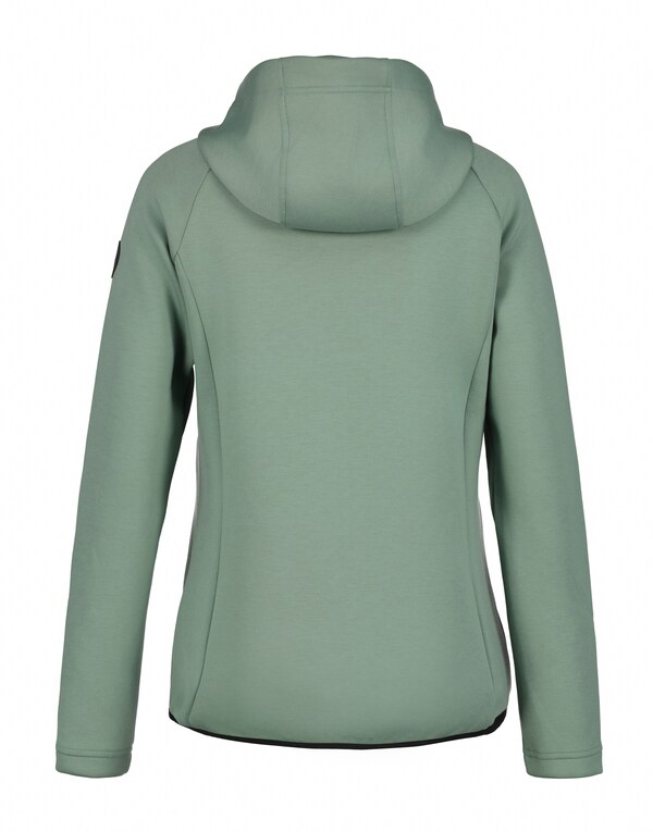 ICEPEAK Giacca Per Outdoor 'Ashburn' In Canna Verde Pastello