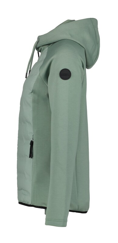 ICEPEAK Giacca Per Outdoor 'Ashburn' In Canna Verde Pastello