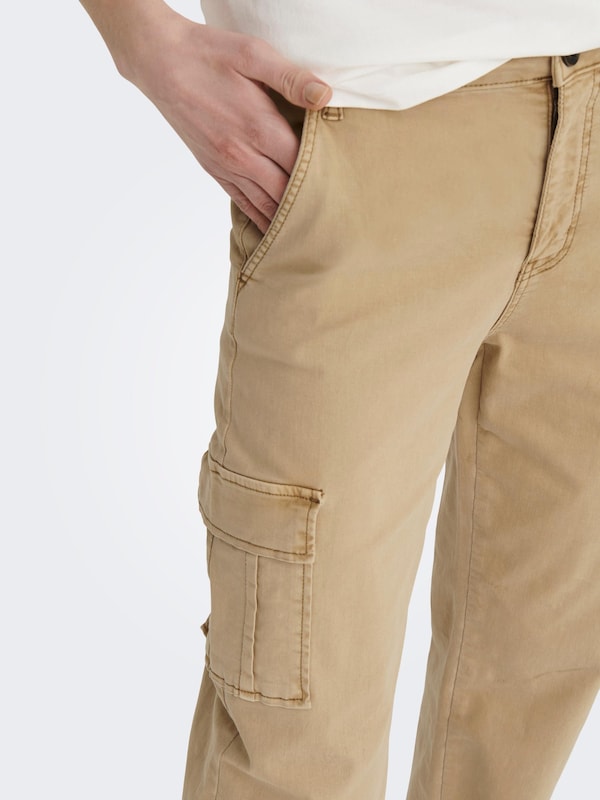 ONLY Regular Pantaloni Cargo 'Safai-Missouri' In Marrone Chiaro