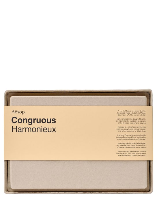 LuisaViaRoma AESOPCongruous Elaborate Body Kit 855ml