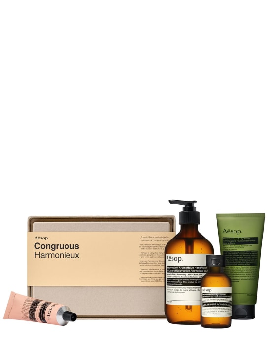 LuisaViaRoma AESOPCongruous Elaborate Body Kit 855ml