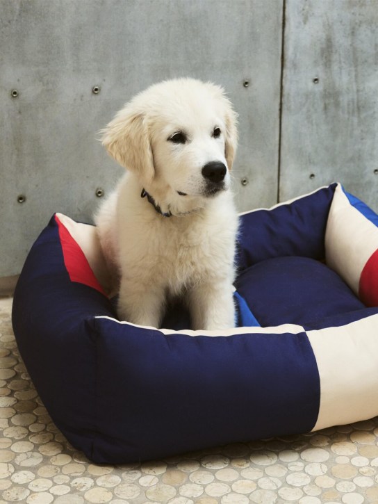 LuisaViaRoma HAYCuccia Per Cani Media