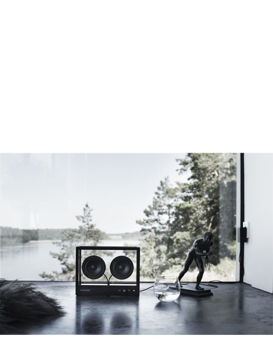 LuisaViaRoma TransparentCassa Piccola Transparent