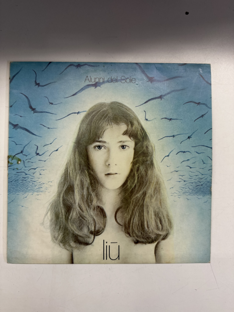 Mercatopoli DISCO LP 33 GIRI VINILE Alunni Del Sole* – DLiù