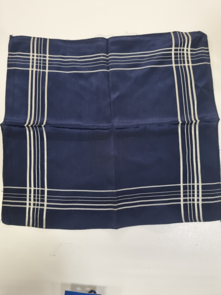 Mercatopoli Fazzoletto Da Taschino Blu E Bianco Seta